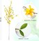 Fake Forsythia Stems Artificial Orchids Flowers 4 Pcs Fake Forsythia Branches